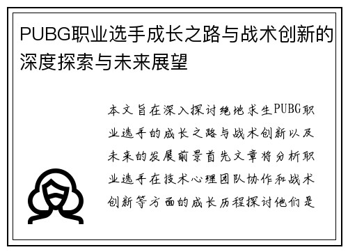 PUBG职业选手成长之路与战术创新的深度探索与未来展望