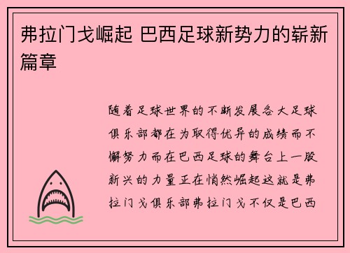 弗拉门戈崛起 巴西足球新势力的崭新篇章