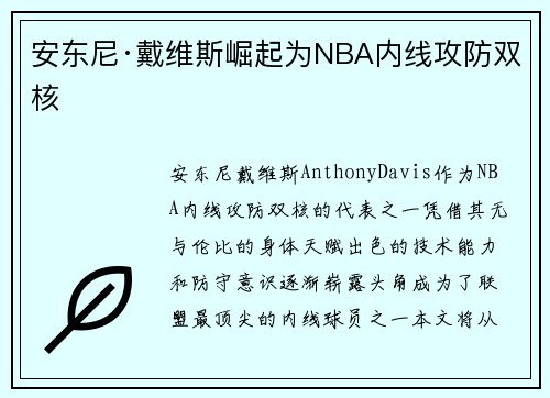 安东尼·戴维斯崛起为NBA内线攻防双核